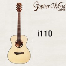 [고퍼우드] i110 / Gopherwood i110 [취미기타 추천!]
