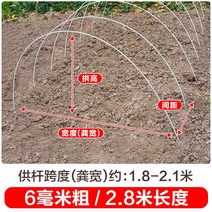새로운 작은 아치 브래킷 야채 창고 기둥 분야 단열 FRP 단단한 유리 섬유 농업 묘목, 10개, 두께 6mm - 길이 2.8m