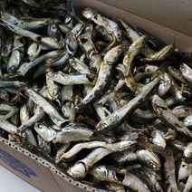 친환경팔도 남해안 다시멸치(업소용대멸치) 1.5kg, 단품