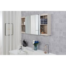 닥터바스 화장실슬라이드장 슬라이드장 욕실거울 슬라이딩장 욕실수납장, 1-2번 600 슬라이드장 1300