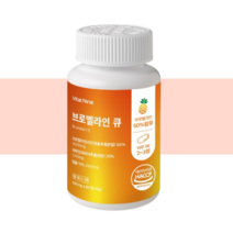 브로멜라인장용정 파인애플효소