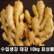 마시존 햇 수입 세척생강 10kg 최상품 신선생강 대강 면강 생식용 육수용 조리용 절임용