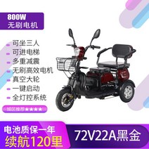4륜 전동 카트 2인승 노인 배터리 자동차 인승, 800w 모터 + 블랙 골드 72v22a, 48V