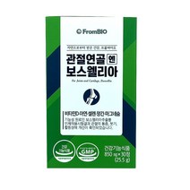 홈쇼핑 광고 이병헌 프롬바이오 관절 연골 엔 보스웰리아 영양제 보스 웨리아 엘리아 웰니아 프로바이오 보수 웰리아 휄리아 웰리스 40대 50대 60대 건강 식품 식약처 식약청 인증, 60정 (30일분)