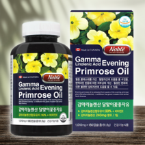 달맞이꽃종자추출물 LDL HDL콜레스테롤 달맞이꽃 감마리놀렌산