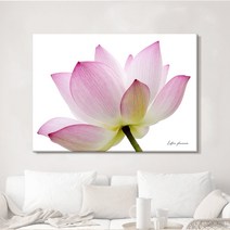 더 아트 컴퍼니 부모님 사업 수험생 시험 성적 합격 풍수 연꽃그림 재물운 금전운 올려주는 꽃 액자 거실 침실 수능방 캔버스 가족 선물 21종, 9. 은은 연꽃