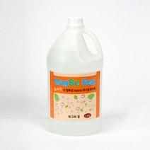고 침투성 무기질 방수제 마그비 씰 3.8L