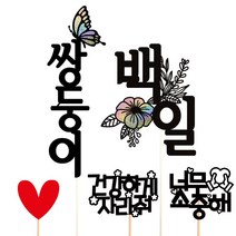 비비드레인 백일 첫돌 두돌 생일 케이크토퍼, 쌍둥이+백일(한글)