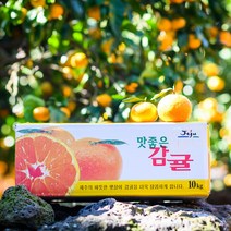 제주땡큐베리팜 제철 햇 노지 감귤 4.5kg 2L-대과 1BOX