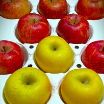 청송 폴리페놀 혼합 사과(시나노골드+부사) 4kg 13~14과, 4kg 9~10과