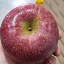 경북 청송사과 부사 사과 5kg 10kg, 대과 5kg(11-15과), 1