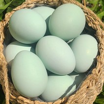 당일산란 청란 특란 42g 청계란 무항생제, 20구