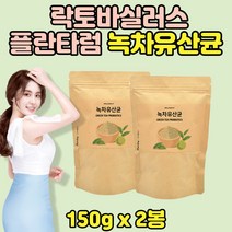 이너 뷰티 녹차유산균 분말 락토바실러스 2통 락토 플란타룸 플란타럼 바료 김치 유산균 녹차유래 프로바이오틱 균주 남성 여성 추천, 2개