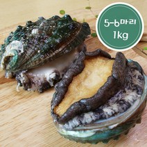 완도전복 5-6미 1kg, 선물포장, 9999