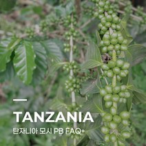 [생두] 탄자니아 모시 PB FAQ+ 5kg