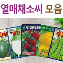 살아있는 씨앗 모음 열매씨앗 여주 우엉 박 토마토 참외 수박 오이 호박 가지 옥수수 깨 콩 팥 수수 밀 배추 양배추 열무 알타리 당근 무 비트 콜라비 고추 파프리카 종자, L-청명엇갈이 x 1개, 1개