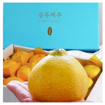 제주황금향 황금향선물세트 제주직송 제주고당도귤 혼합2.5kg, 특상품 4.5kg(29 34과)