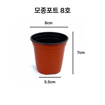 디안몰 모종포트 이색포트 8cm 100개, 1개