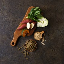 힐링펫 강아지사료 RESET 다이어트사료 400g, 2개 (5%할인)