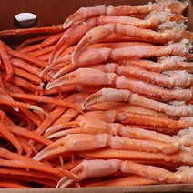 속초 붉은대게 5kg L/홍게/홍게섹션/홍게라면/가족모임/집들이, 1개