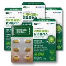 징코플러스 기억력개선 혈액순환 은행잎추출물 플라보노이드 코오롱제약, 30정X4박스