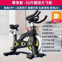 헬스장자전거 미니 실내 자전거 회전 홈 소형 에어로빅 자기 제어 지능형 체중 감량 운동, 스마트 앱-32마그네틱 플라이휠-블랙-전자 시계-