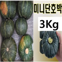 [향기농장] 제주 콜라비 최상품 3kg 5kg 10kg 15kg, 15kg(특)