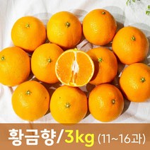 맛있는제주도황금향 추천순위 TOP100
