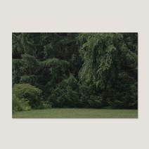 다꼬르피스 Terrace 엽서