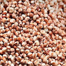 수수 찰수수 찰수수효능 찰수수가격 수수효능 수수가격, 1개, 1kg
