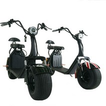 일렉모터스 전동스쿠터 듀얼모터 시티코코 국내배송 AS전문 1500W, 1개, 1500W(잉글랜드 20AH 교체)