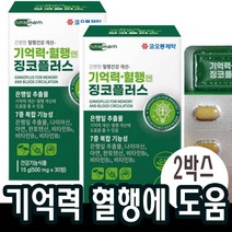 징코플러스 은행잎추출물 혈액 순환 에 좋은 두뇌 기억력 영양제 혈행 개선 도움 뇌 약2개월분(2박스)