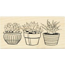 Inkadinkado 다육 식물 화분 장착 고무 스탬프 웨딩 카드 제작 및 스크랩북용 9.9cm x 4.9cm x 2.5cm