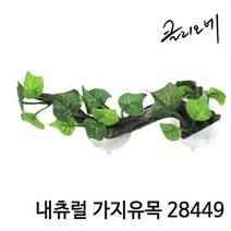 [바보사랑] 클리오네 내츄럴 가지유목 28449, 상세 설명 참조