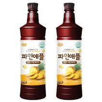 광야식품 파인애플 베이스 970ml, 2개