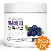 빌베리 분말 빌베리농축 가루 파우더 안토시아닌 250g, 1병