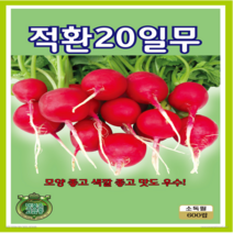 OK농장 [[근채류] 적환20일무(600립)] 적환20일무씨앗 뿌리채소씨앗 무씨앗 종묘 묘종 씨앗 채소씨앗 꽃씨앗(KS종묘)