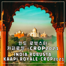 (커피생두) 66 인도 로부스타 카피로얄 커피생두-CROP2021 500g