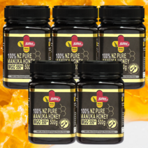 100% 마누카꿀 MGO 550 UMF 16 500g 1병 SPH 뉴질랜드산, 마누카꿀 500g 5병