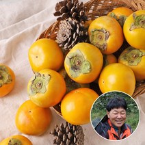 단감아저씨 이용수님의 진영 단감 10kg 60과-70 과내외(소과)