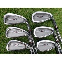 포틴 TC-660 경량스틸 S 6아이언 세트 3561G