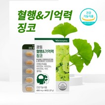 디아이하트 광동 은행잎추출물 징코 Ginko 혈행 기억력 메모리 플라보놀배당체 비타민 아연 셀렌 6중 복합기능 소형정제 어르신 수험생 추천 영양제, 60정, 3개