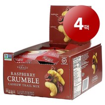 리암마켓 Sahale Snacks 사헬 스낵 캐슈 트레일 믹스 라즈베리 크럼블 9개입 각 42.5g 1팩, 4팩