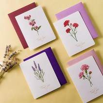 꽃으로 전하는 마음, 카네이션 핑크