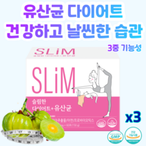 락토테미 슬림한 유산균 다이어트 장건강 면역기능 프로바이오틱스, 3개