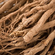 신토불이 국산 약초 속단(한속단) 600g, 14Q5_국산속단(한속단)600g, 14Q5_국산속단(한속단)600g