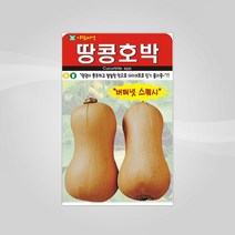 슬로시 슬로시 열매 씨앗 고추 토마토 콩 씨 종자, 땅콩호박10립(아람)
