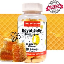 프리미엄 생로얄제리 1000mg 고함량 120캡슐 10HDA 로얄젤리 캐나다 직구, 6병, 120캡슐(4개월)