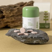 베리밸런스 인디언구스베리 건조효모 비타민 미네랄 13종 약사엄마 설계 식물유래원료 츄어블 90정, 2개