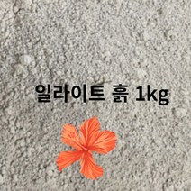 일라이트 1kg 화분 흙 토양 분갈이 백운모 원석 돌 가루 분말 원적외선 친환경 원예용품 영양제 파우다